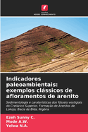 Indicadores paleoambientais: exemplos clssicos de afloramentos de arenito