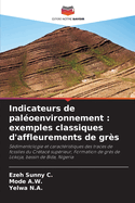 Indicateurs de paloenvironnement: exemples classiques d'affleurements de grs