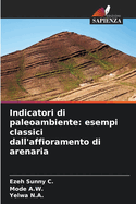 Indicatori di paleoambiente: esempi classici dall'affioramento di arenaria