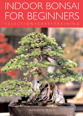 Indoor Bonsai for Beginners: Selection * Care * Training - Busch, Werner