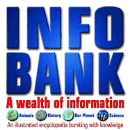 Info Bank