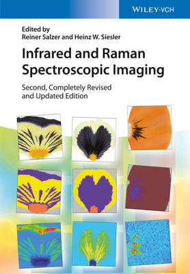 Infrared and Raman Spectroscopic Imaging - Salzer, Reiner (Editor), and Siesler, Heinz W (Editor)