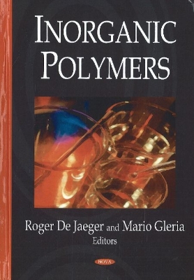 Inorganic Polymers - Jaeger, Roger De