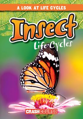 Insect Life Cycles - Jacobson, Bray