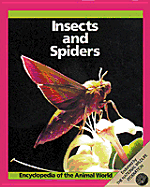 Insects and Spiders - Losito, Linda, and Kerrod, Robin, and Stidworthy, John