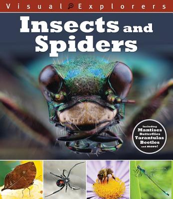 Insects and Spiders - Reynolds, Toby, and Calver, Paul