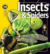 Insects and Spiders