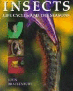 Insects: Life Cycles and the Seasons