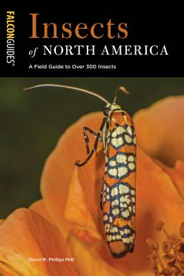 Insects of North America: A Field Guide to Over 300 Insects - Phillips, David M