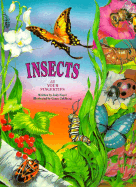 Insects - Nayer, Judy