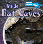 Inside Bat Caves