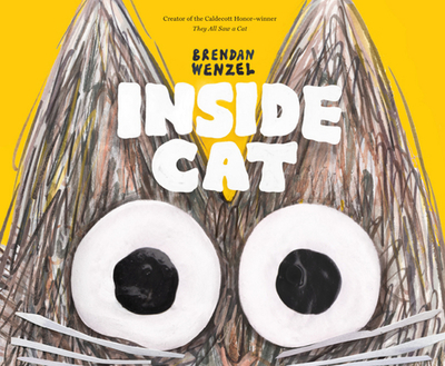 Inside Cat - 