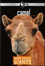 Inside Nature's Giants: Camel