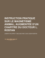 Instruction Pratique Sur Le Magnetisme Animal, Augmentee D'Un Chapitre Du Docteur L. Rostan - Deleuze, Joseph Philippe F