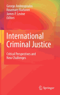 International Criminal Justice: Critical Perspectives and New Challenges