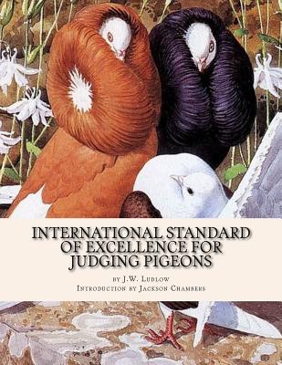 International Standard of Excellence For Judging Pigeons: Pigeon Classics Book 6 - Chambers, Jackson (Introduction by), and Ludlow, J W
