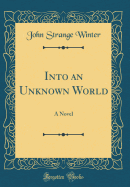 Into an Unknown World: A Novel (Classic Reprint)