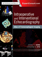 Intraoperative and Interventional Echocardiography: Atlas of Transesophageal Imaging