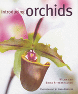 Introducing Orchids - Rittershausen, Wilma, and Rittershausen, Brian, and Burgess, Linda (Photographer)