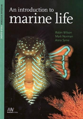 Introduction to Marine Life - Wilson, Robin