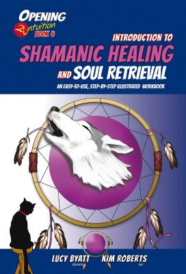 Introduction to Shamanic Healing and Soul Retrieval: An Easy-to-Use, Step-by-Step Illustrated Guidebook Opening2intuition Book 4 - Roberts, Kim