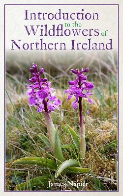 Introduction to the Wildflowers of Northern Ireland - Napier, James