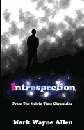 Introspection: From the Melvin Time Chronicles