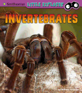 Invertebrates: A 4D Book