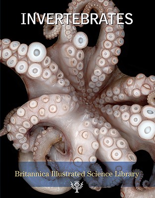 Invertebrates - Encyclopaedia Britannica (Creator)