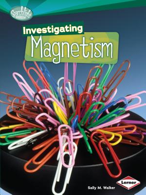 Investigating Magnetism - Walker, Sally M