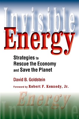 Invisible Energy: Strategies to Rescue the Economy and Save the Planet - Goldstein, David B