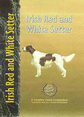 Irish Red and White Setter - Bauer, Nona Kilgore