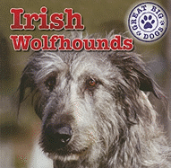 Irish Wolfhounds