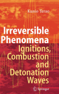 Irreversible Phenomena: Ignitions, Combustion and Detonation Waves