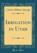 Irrigation in Utah (Classic Reprint)