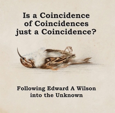 Is a Coincidence of Coincidences just a Coincidence? Following Edward A Wilson into the Unknown: Deluxe Edition - Flux, John, and Reardon, Nicholas (Designer)