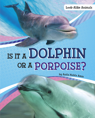 Is It a Dolphin or a Porpoise? - Amin, Anita Nahta