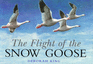 Flight of the Snow Goose