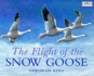 Flight of the Snow Goose