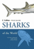 Sharks (Collins Field Guide) By Leonard Compagno (2005-02-07)