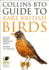 Collins Bto Guide to Rare British Birds