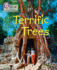 Terrific Trees: Band 04/Blue (Collins Big Cat Phonics for Letters and Sounds)
