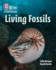 Living Fossils: Band 07/Turquoise