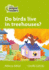 Do birds live in treehouses?: Level 2