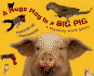 A Huge Hog is a Big Pig: a Rhyming Word Game