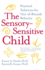 The Sensory-Sensitive Child: Practical Solutions for Out-of-Bounds Behavior