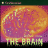 The Brain: Our Nervous System