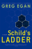 Schild's Ladder: a Novel