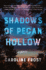 Shadows of Pecan Hollow: a Novel