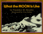 What the Moon is Like